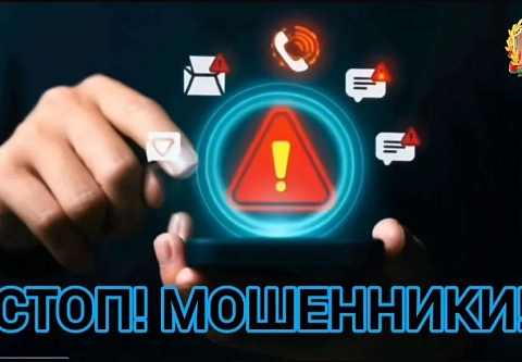 За минувшую неделю в органы внутренних дел Гомельской области поступило свыше 210 сообщений граждан о действиях мошенников