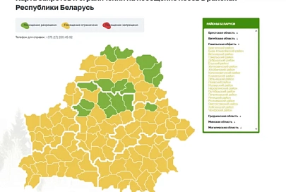 В Гомельской области ограничено посещение лесов во всех районах