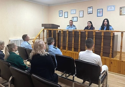 Милиция и судебные исполнители будут ежемесячно проверять должников по штрафам МВД