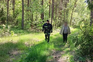 Спасатели нашли пенсионерку, потерявшуюся в лесу в Житковичском районе