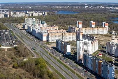 В Гомеле после нападений бездомных собак пострадали дети, а в интернете поднялся хейт против их родителей и журналистов
