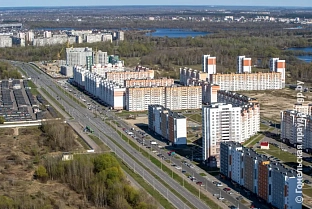 В Гомеле после нападений бездомных собак пострадали дети, а в интернете поднялся хейт против их родителей и журналистов