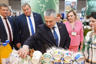 С экспозицией производителей из Гомельской области на «Белагро-2026» ознакомился председатель облисполкома Иван Крупко