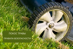 В Минтруда рассказали, кто может быть допущен к покосу травы