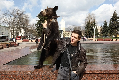 В Гомеле медведи охлаждались в фонтане