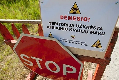 Африканская чума свиней напала на Литву и Латвию 