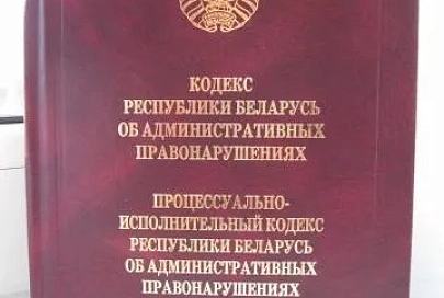 Кодекс об административных правонарушениях Беларуси можно дополнить наказанием в виде общественных работ