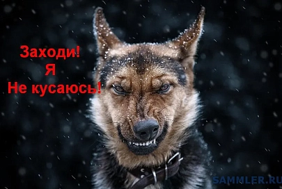 Беларусь заняла 23-е место в мировом рейтинге доли домашних хозяйств, имеющих доступ в интернет