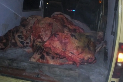 В Добрушском районе гомельские пограничники задержали около тонны мяса