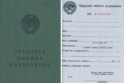 Украина хочет отказаться от трудовых книжек