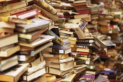 В Буда-Кошелеве задержан вор, который вынес книги, фотоальбомы и бидон