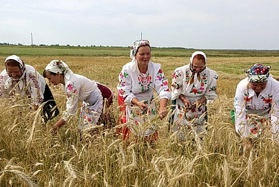 Амаль ва ўсіх гаспадарках Калінкавіцкага раёна прайшлі зажынкі
