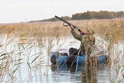 Слово не воробей, утка не новость. Сеть запрудили фейковые новости