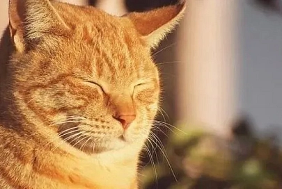 До 22 градусов тепла ожидается в Беларуси 4 июля