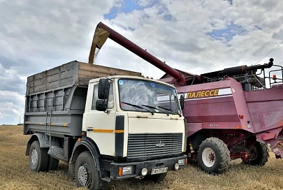 Хозяйства Гомельщины приступили к выборочной уборке зерновых
