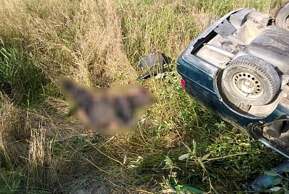 В Речицком районе в аварии погиб водитель