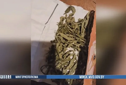 В столице задержан гомельчанин за незаконный оборот наркотиков