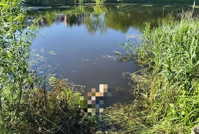 В Добрушском районе рыбак запутался в собственных сетях и утонул