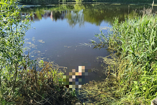 В Добрушском районе рыбак запутался в собственных сетях и утонул