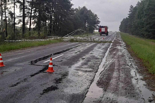 Последствия непогоды в Гомельской области