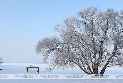 Снег, порывистый ветер и до -5°С ожидаются в Беларуси 12 января