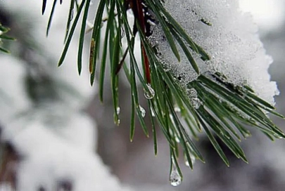 До +4 °C и мокрый снег: синоптики рассказали о погоде на предстоящую неделю