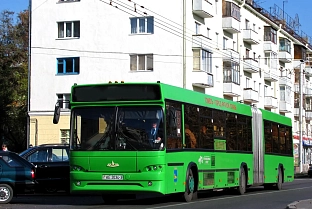 В Осовцы пойдут автобусы