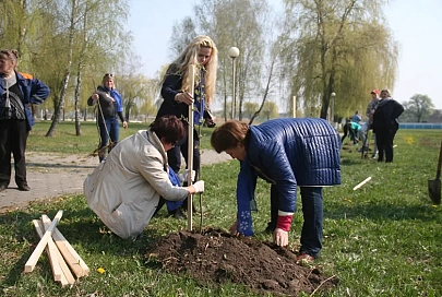 Аллея матерей была заложена в Калинковичах