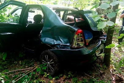 В Речицком районе на дорогу внезапно упало дерево: легковушка вылетела в кювет