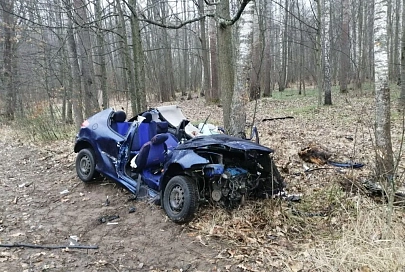 В Речицком районе автомобиль врезался в дерево. Водитель и пассажир госпитализированы