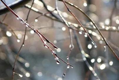 До +9°С ожидается в Беларуси 21 февраля
