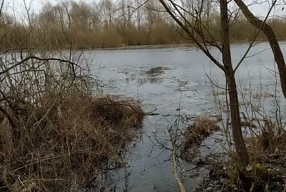 Рыбак провалился под лед в Светлогорском районе