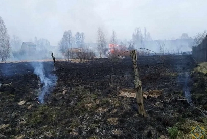 Палы травы привели к уничтожению пяти дачных домов и трех хозяйственных построек