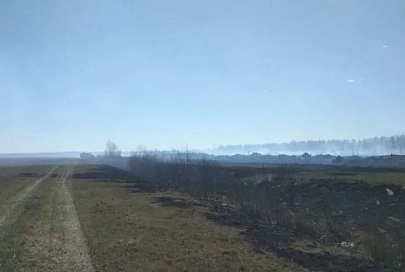 В Калинковичском районе третий день тушат торфяной пожар
