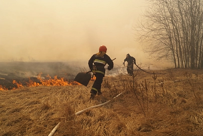 С начала года на Гомельщине более 400 раз горели трава, торфяники и леса