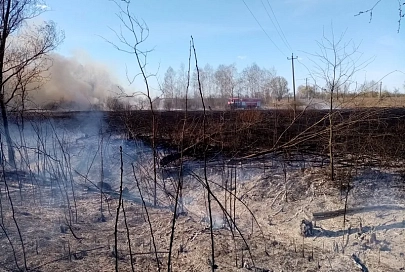 Житель Ельского района сжигал мусор во дворе, спровоцировал пожар и получил 135 рублей штрафа