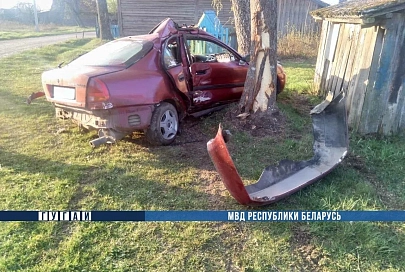 В Рогачевском районе нетрезвый водитель врезался в дерево: две пассажирки в больнице