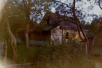 На пожаре в Житковичском районе погиб мужчина