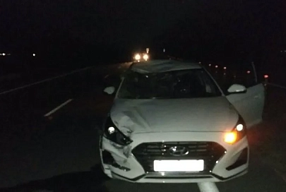 В Гомельском районе легковушка сбила велосипедиста, он умер больнице