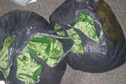 В Чечерском районе задержали пять гомельчан с 12 кг марихуаны