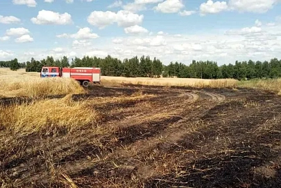 В Чечерске сотрудники МЧС спасли от пожара 20 га посевов ржи