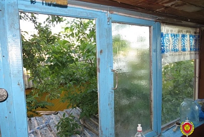В Мозырском районе по отпечаткам установили вора, который ночью обокрал два дома