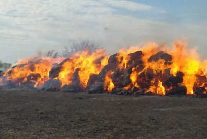 На поле в Добрушском районе сгорели 67 рулонов соломы и 17 тюков сена