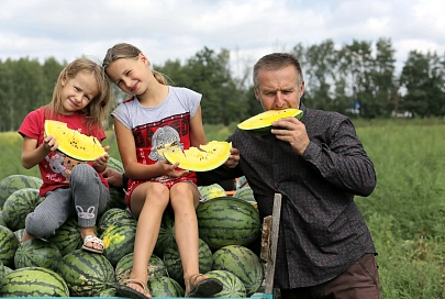 Бахча под Гомелем: рушим арбузные мифы на корню
