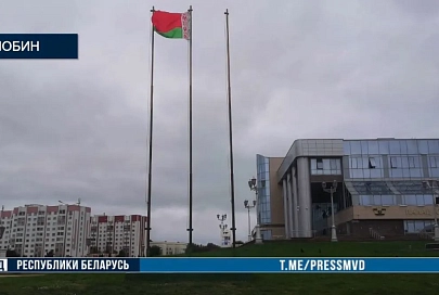 Задержан житель Жлобина, разорвавший государственный флаг