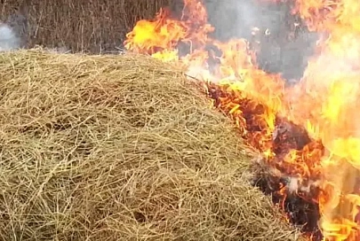 В Чечерском районе при пожаре уничтожено 90 т соломы