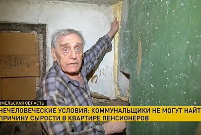 В квартире пенсионеров из Речицы стены, мебель и даже одежда покрылись плесенью