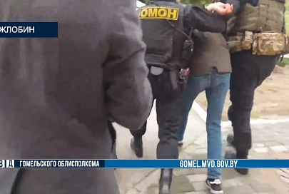 Задержан неоязычник, который участвовал в массовых беспорядках в Жлобине