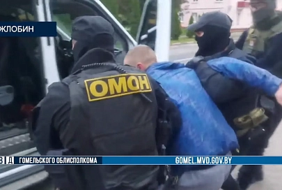 Праворадикальный фанат задержан за участие в массовых беспорядках в Жлобине