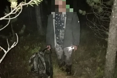 За прошедшие сутки спасатели нашли трех человек в лесу в Гомельской области